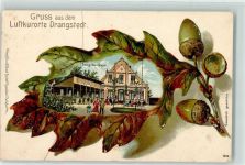 27624 W2852 Drangstedt 1904 Prägedruck Gasthaus zum grünen Jäger