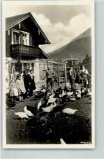 82467 W8100 Garmisch - M. Jung Eier- u. Geflügelhandlung Hühner