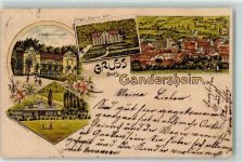 37581 W3353 Bad Gandersheim 1898 Lithographie Waldschlösschen Wilhelm Augusta Stift Sool- und Stahlbad