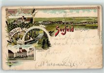 82229 W8031 Seefeld , Oberbay 1897 Lithographie Schloss d. Grafen Törrling Jettenbach Wasserfall Schlosspark Schlosshof