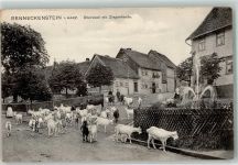 38877 O3702 Benneckenstein 1910 - Oberstadt Springbrunnen Ziegenherde