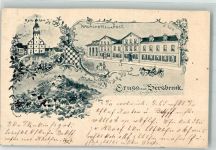 91217 W8562 Hersbruck 1897 Lithographie Hotel zur Post Rathaus