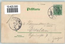 99706 O5400 Sondershausen , Thür 1901 Gebrauchsspuren Jagdschloss Zum Possen Bär Denkmal Hirsch Fasan Lithographie