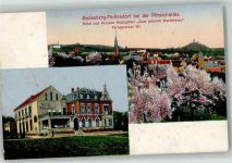 53111 W5300 Muffendorf 1918 - Hotel Hochgürtel Zum großen Kurfürsten Baumblüte Lazarettstempel