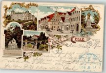 29221 W3100 Celle 1897 Lithographie Schloß Rathaus Kriegerdenkmal Peterburg Karolinen-Mathilden Denkmal