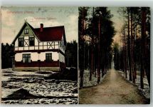 38835 O3606 Osterwieck 1913 - Waldweg Forsthaus Fallstein