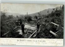 38879 O3706 Schierke am Brocken 1904 Foto AK Unwetterkatastrophe 17. Juni 1904 Gefällte Bäume