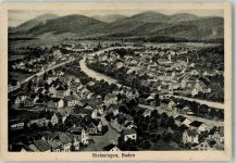 78239 W7703 Rielasingen