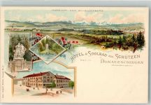 78166 W7710 Donaueschingen Lithographie Schellenberg Hotel zum Schützen Donau-Pfalz