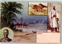 Tracht Kamele Pyramiden Löwen Afrika Afrikan. Volkstyp Lithographie