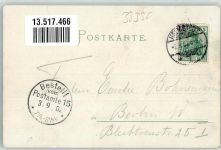 38350 W3330 Bad Helmstedt , Brunnental 1902 Lithographie Etablissement Miehe Garten Theater