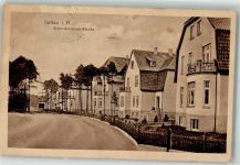 29614 W3040 Soltau 1916 - Victoria-Luisen-Straße Villen Feldpoststempel