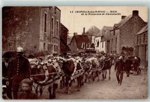 44410 La Chapelle-des-Marais - Defile de la Procession de Ste- Corneille Kühe