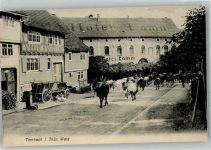 99897 O5809 Tambach-Dietharz , Thüringer Wald 1910 - Hotel Lamm Rinderauftrieb