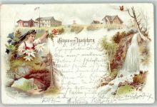 98599 O6083 Brotterode 1897 Lithographie Gruss vom Inselberg Wasserfall Thorstein Blumen Eichhörnchen