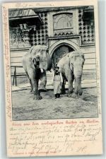 W1000 Berlin Mitte Elefantenhaus Tierpfleger mit Elefanten , Lichtdruck AK Zoo