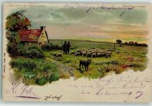 Hirte Schafe HGL, Verlag Meteor 1900 Lithographie