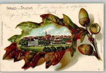 04425 O7127 Taucha b Leipzig 1904 Prägedruck Eichenblatt Taucha