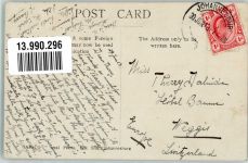 Johannesburg 1913 Foto AK Strauße Ort lt. Stempel