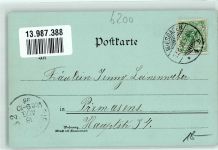 65183 W6200 Wiesbaden 1898 Lithographie Ottmar Zieher Große Fontaine i. Kurpark Kurhaus Kranzplatz Kochbrunnen