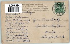 65183 W6200 Wiesbaden 1908 - Kurpark