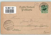 65385 W6220 Niederwald , Jagdschloß 1899 Lithographie Nationaldenkmal Jagdschloss Eremitage a.d. Niederwald