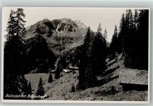 Bühlalpe Foto AK Bühlalpe Bärenkopf