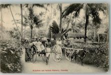 Colombo 1912 Foto AK Tracht Rikscha