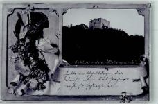 3506 Hollenburg 1900 Foto AK Schlossruine Bertholdstein Holonpurch Adelskorrespondens