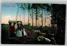 Holz sammeln Verlag Gimm Nr. 1602 Leben und Treiben im Thüringer Wald Forstwirtschaft
