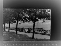 25938 25938 Wik auf Fföhr GLASNEGATIV Promenade