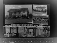 94269 W8371 Rinchnach GLASNEGATIV Pension Hubertus