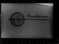 47051 W4100 Duisburg GLASNEGATIV Zoo Aquatorium