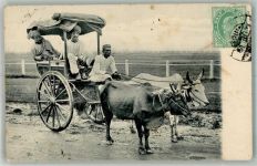 Tracht Ochsenkarren Briefmarke Bildseite Motiv Indien Gebrauchsspuren
