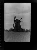 27624 W2852 Bederkesa GLASNEGATIV Windmühle