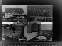 32839 W4939 Sandebeck GLASNEGATIV Germanen-Hof
