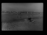 26486 W2946 Wangerooge , Nordseebad GLASNEGATIV