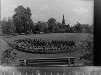 33449 W4831 Langenberg , Kr Gütersloh GLASNEGATIV Park