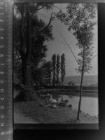 31832 W3257 Springe , Deister GLASNEGATIV Volkspark