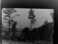 59846 W5768 Sundern (Sauerland) GLASNEGATIV