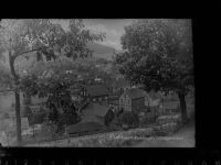 57334 W5928 Feudingen , Kr Wittgenstein GLASNEGATIV