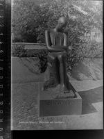 46395 W4290 Bocholt GLASNEGATIV Denkmal am Südhaus
