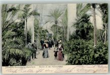 68159 W6800 Mannheim 1907 - Jubiläums Ausstellung Palmenhalle