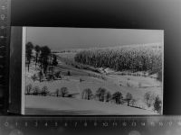 34508 W3542 Willingen (Upland) GLASNEGATIV