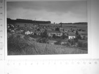 54516 W5560 Wittlich SW-Dia (Kunststoff) KEINE AK