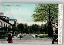 67000 Strasbourg Straßburg 1904 Foto AK Orangerie