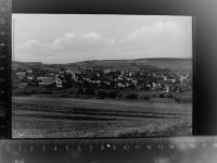 66557 W6688 Hirzweiler GLASNEGATIV
