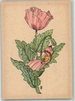 Kind schläft auf einer Schlafmohnblume Blumenlegende Kunstkartenserie 1-12 Verlag Gerhard Tacke Blüte mit Menschengesicht Künstlerkarte