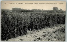 91370 Verrieres-le-Buisson Foto AK