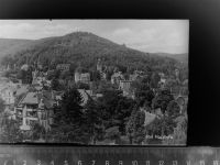 38667 W3388 Bad Harzburg GLASNEGATIV